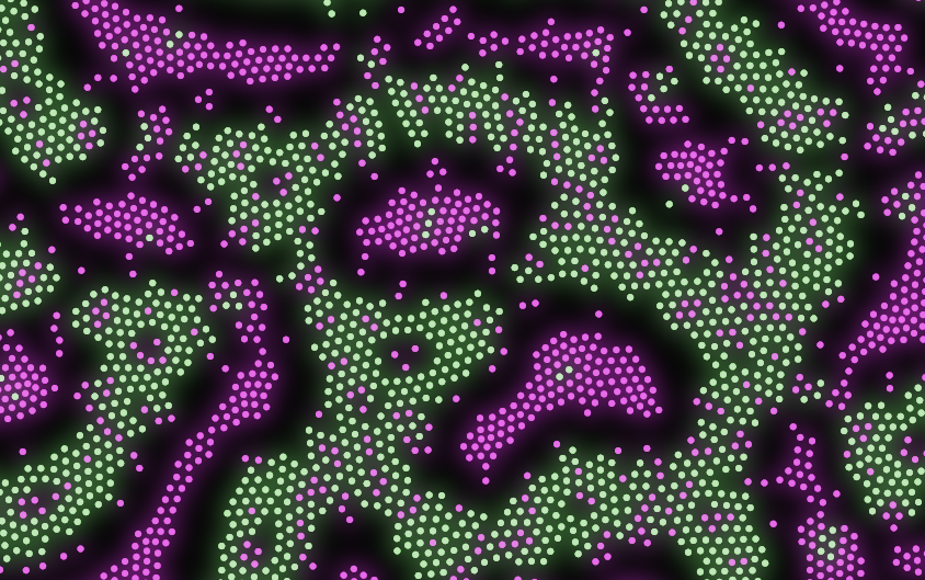 Particle Lenia 2D