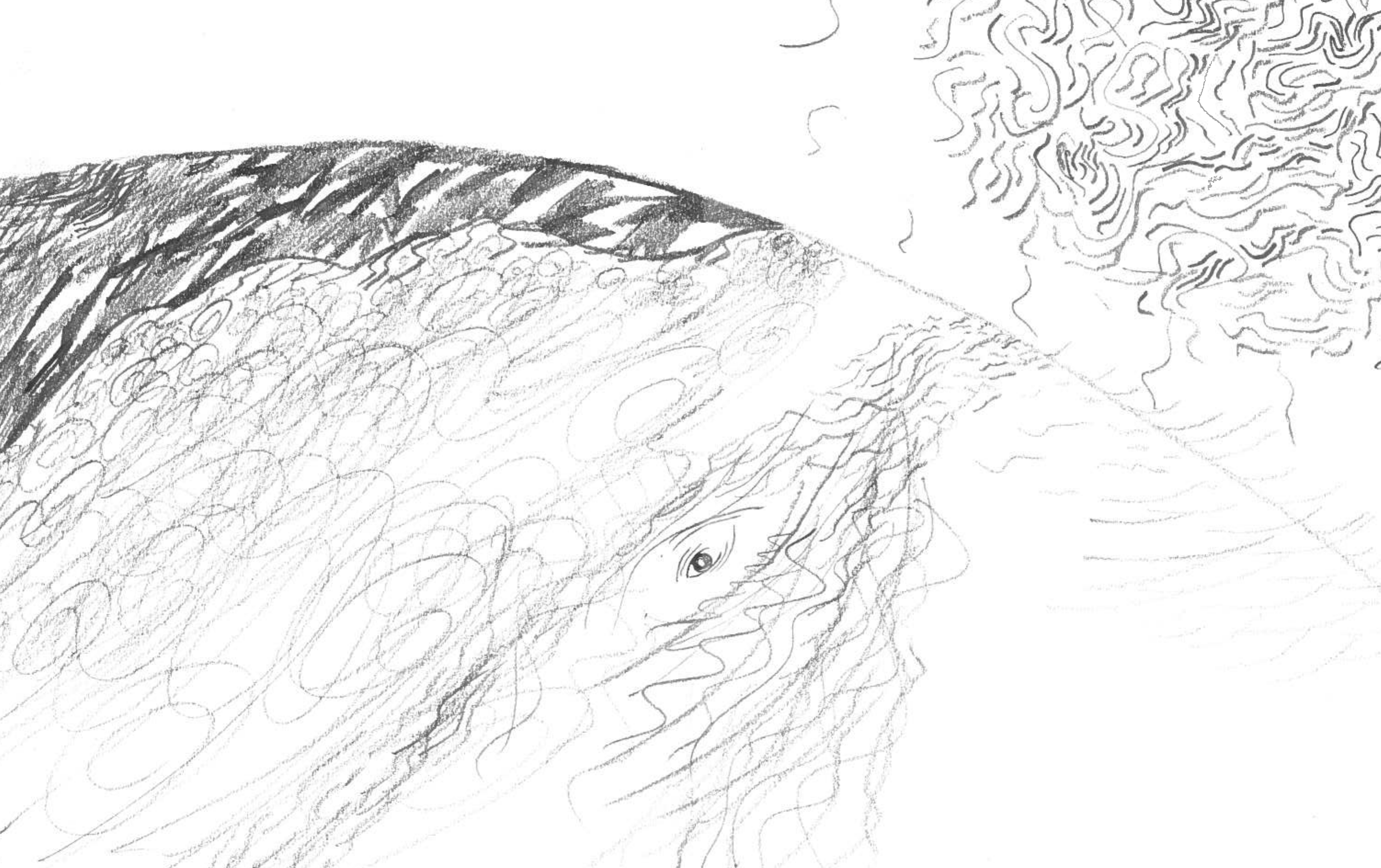 La Baleine